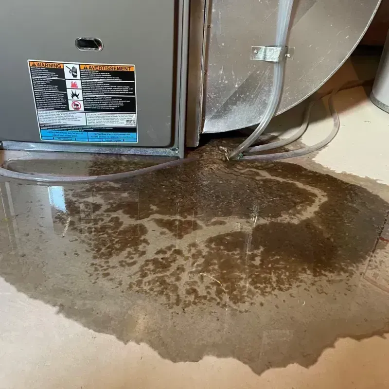 Appliance Leak Cleanup in Loyal, WI